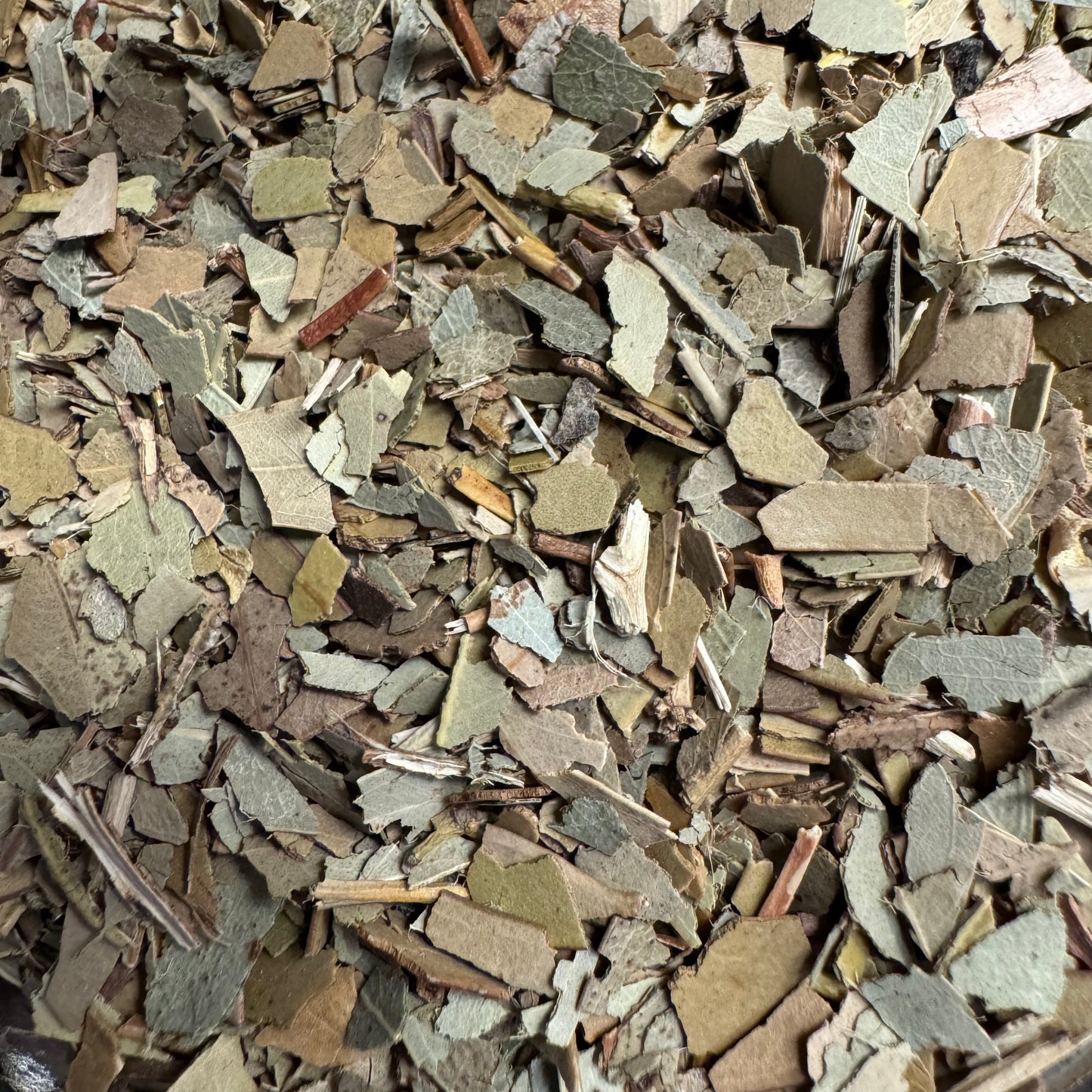 Eucalyptus
