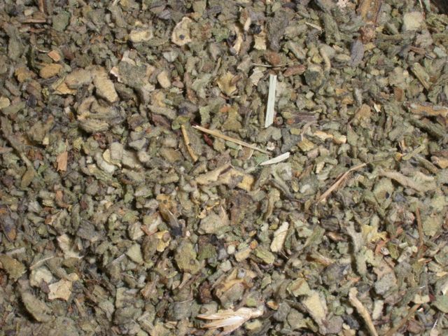 Mullein