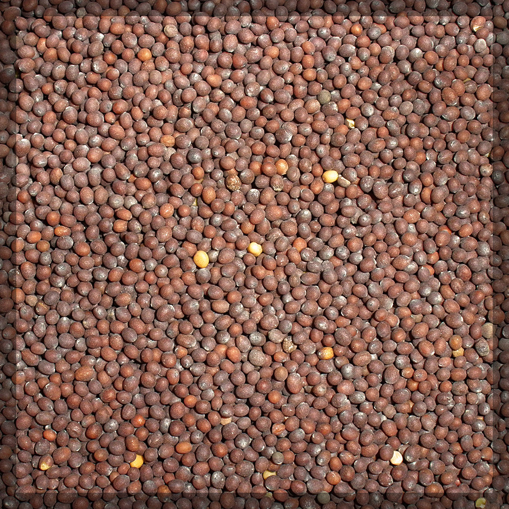 Mustard