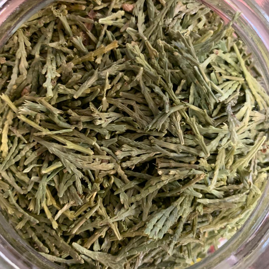 Cedar Tips