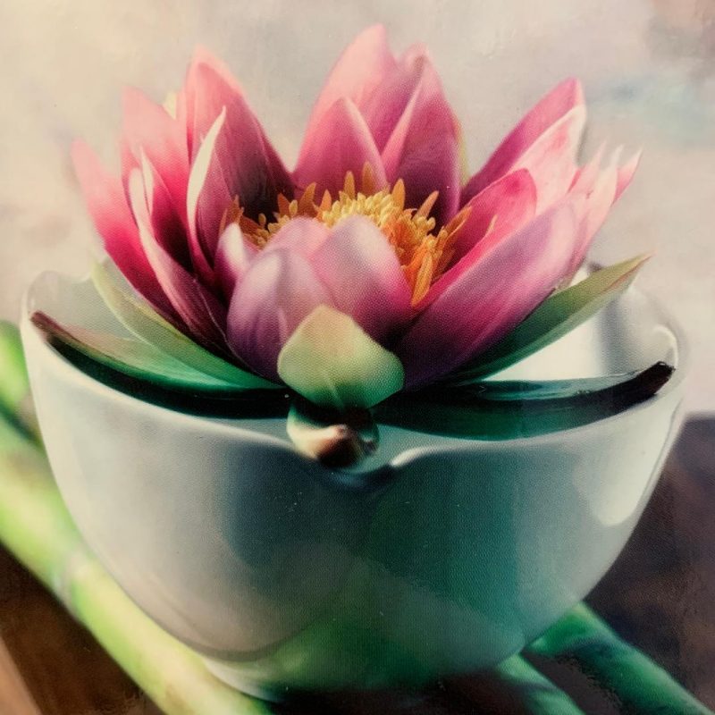 Meditation and Mindfulness