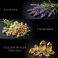 Healing Ritual Body Oil — Lavender & Chamomile