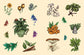 Green Witch's Sticker Book by Arin Murphy-Hiscock