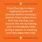 Cosmo Cards: Leo