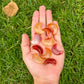 Carnelian Moon