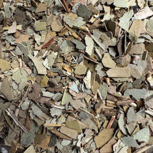 Eucalyptus