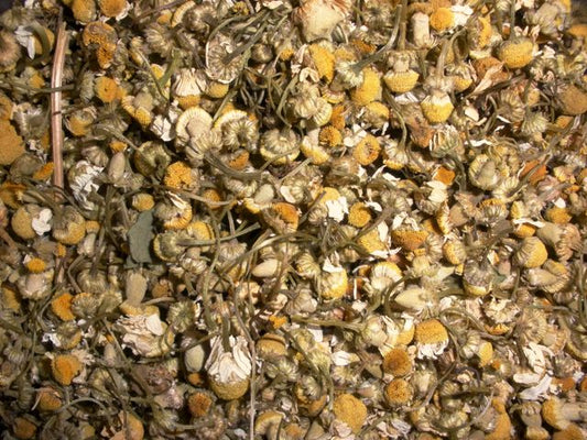 Chamomile