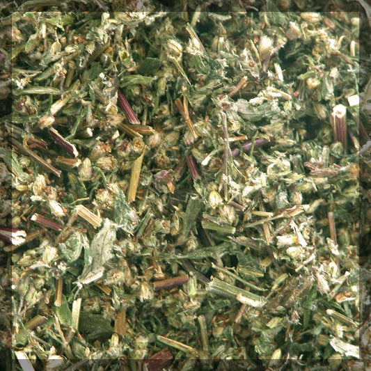 Mugwort