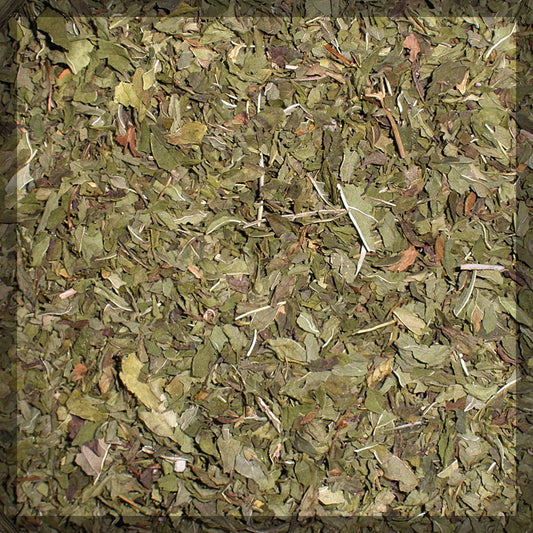 Spearmint