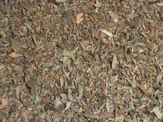 Pennyroyal