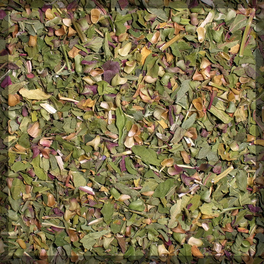 Skullcap