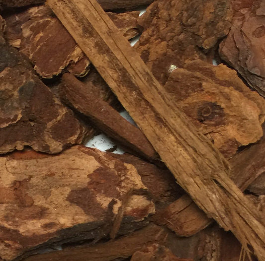 Jezebel Root