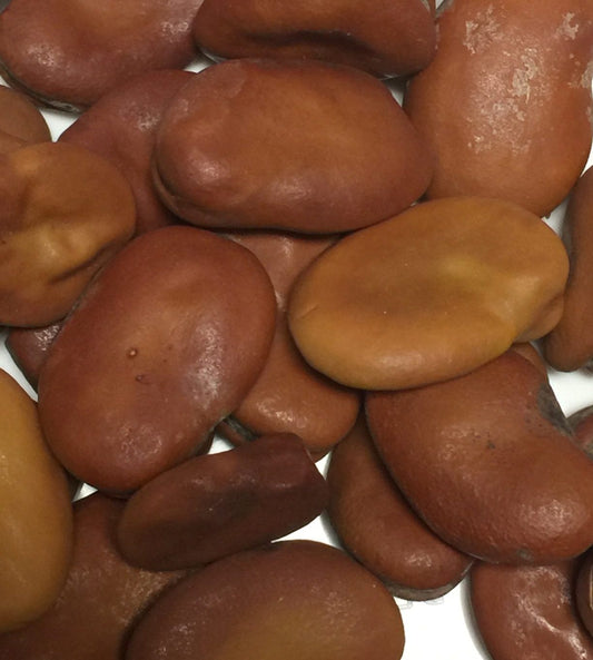 Mojo Wish Bean