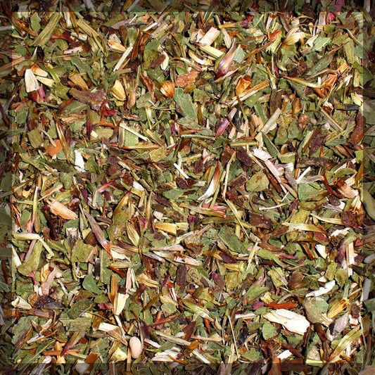 Echinacea