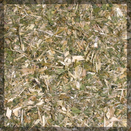Blessed Thistle