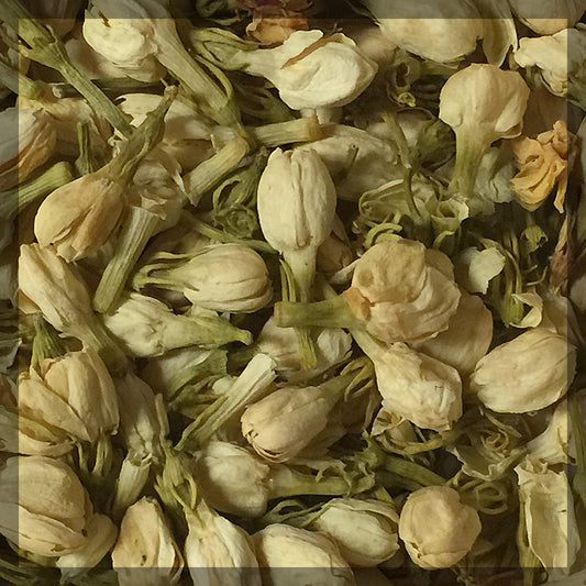 Jasmine