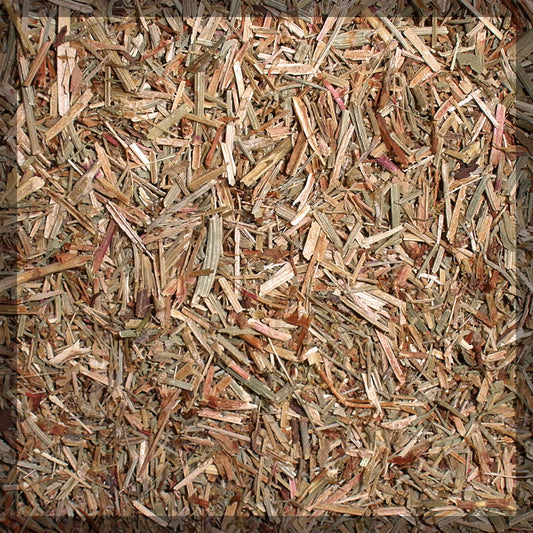 Sheep Sorrel