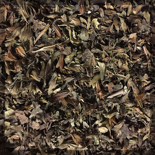Lemon Balm