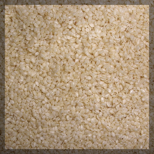 Sesame Seed
