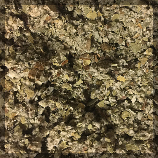 Coltsfoot