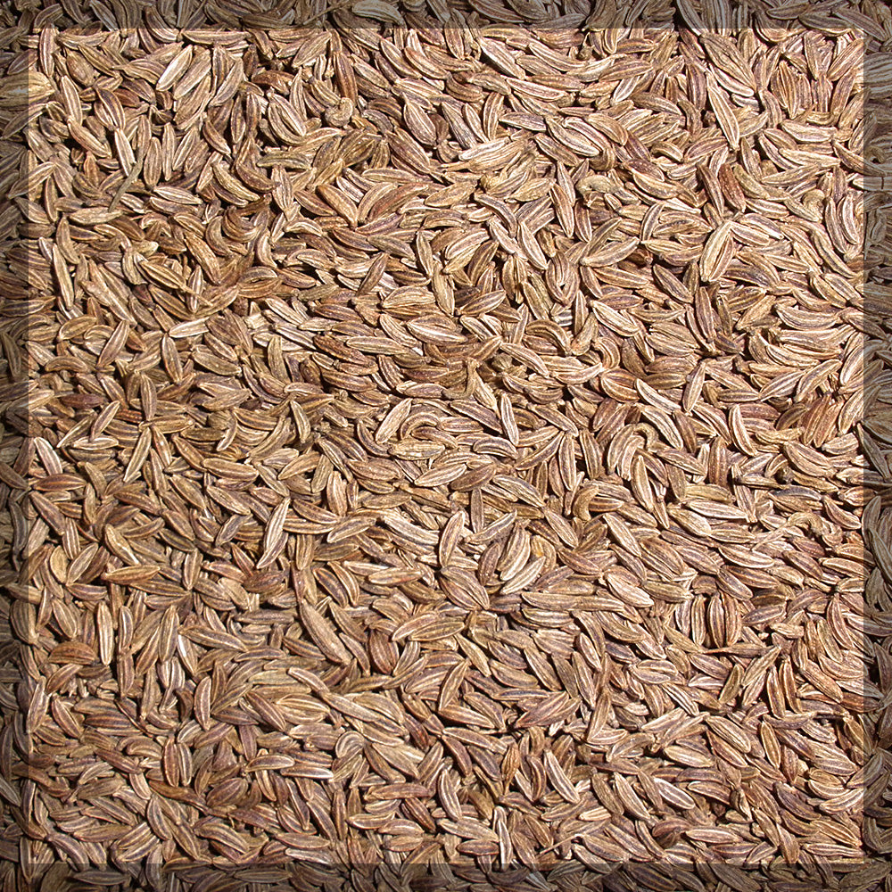 Caraway