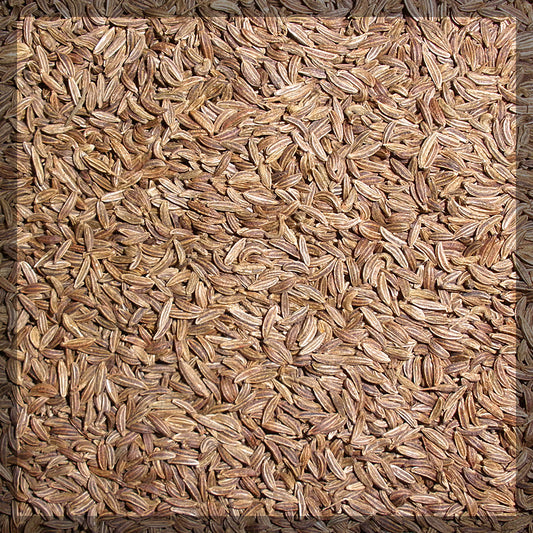 Caraway
