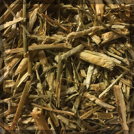 Fleabane
