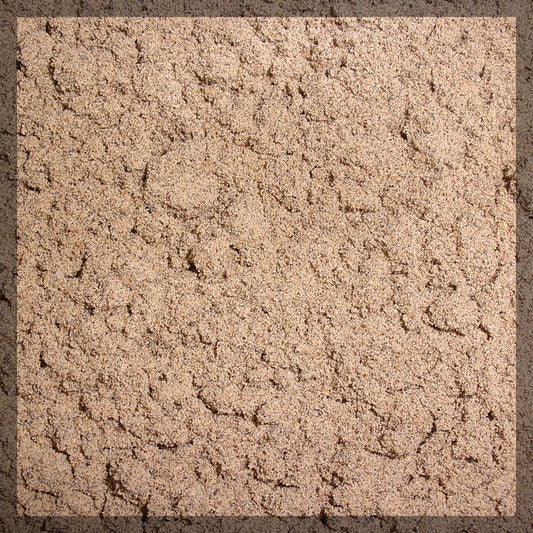 Cardamom