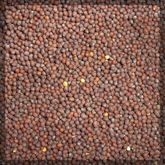 Mustard
