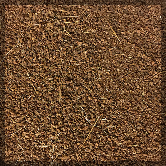 Coconut Shell