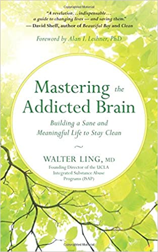 Mastering the Addicted Brain