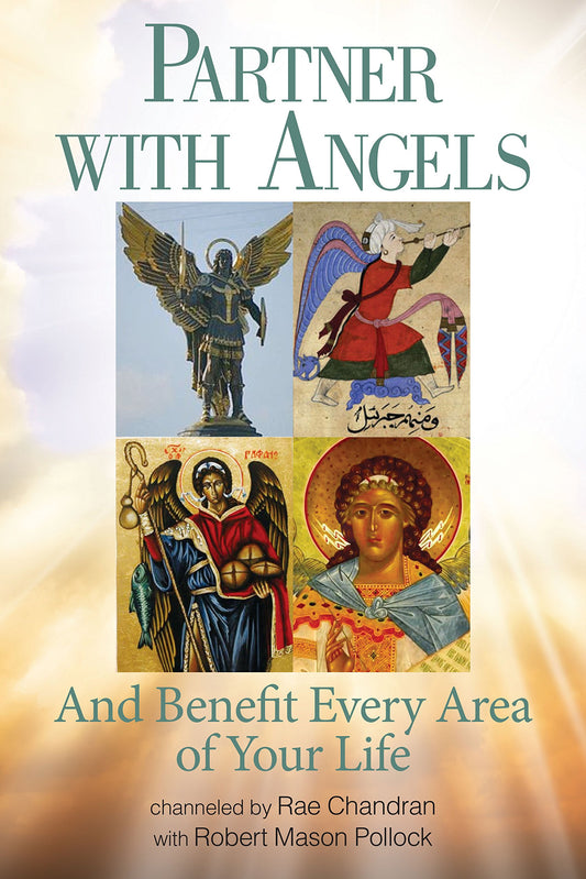 Partner with Angels