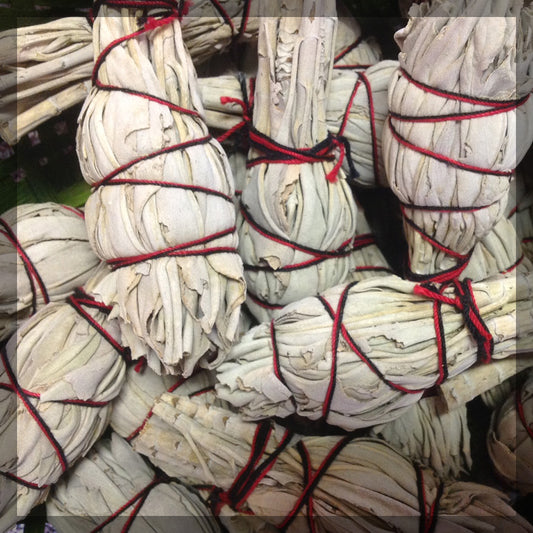 Smudge Stick 4" White Sage