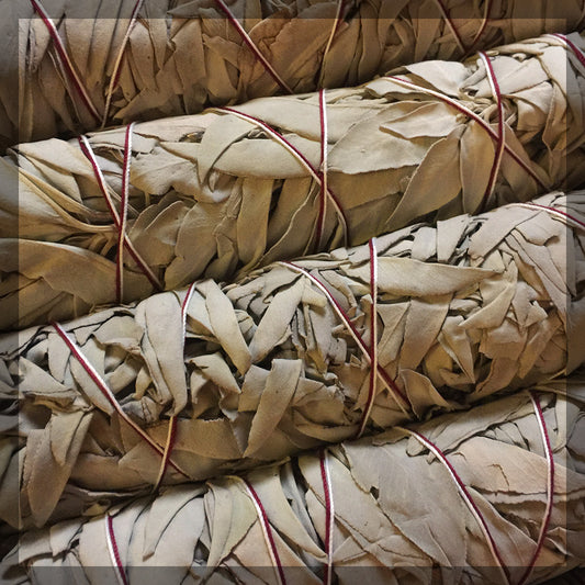 Smudge Stick White Sage , LG