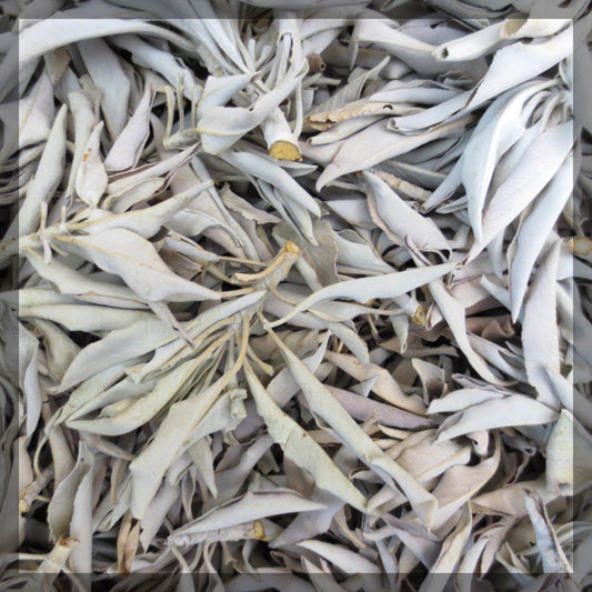White Sage Leaf (1 oz.)