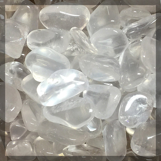 Quartz - Girasol