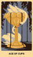 Wild Earth Tarot by Coni Curi