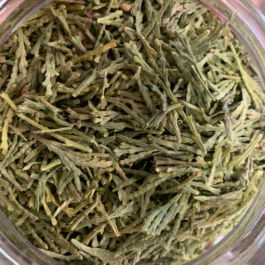 Cedar Tips