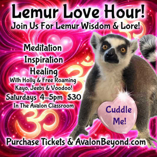 Lemur Love Hour.