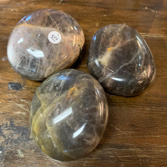 Palm Stone Black Moonstone