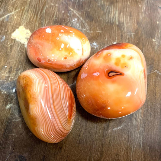 Palm Stone Carnelian Agate